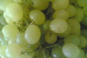 Uvas Moscatel, y sus propiedades saludables